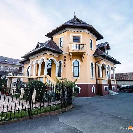 Pensiunea Onix Făgăraş Exteriör bild