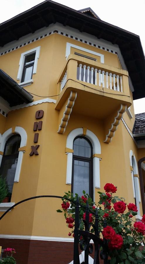 Pensiunea Onix Făgăraş Exteriör bild