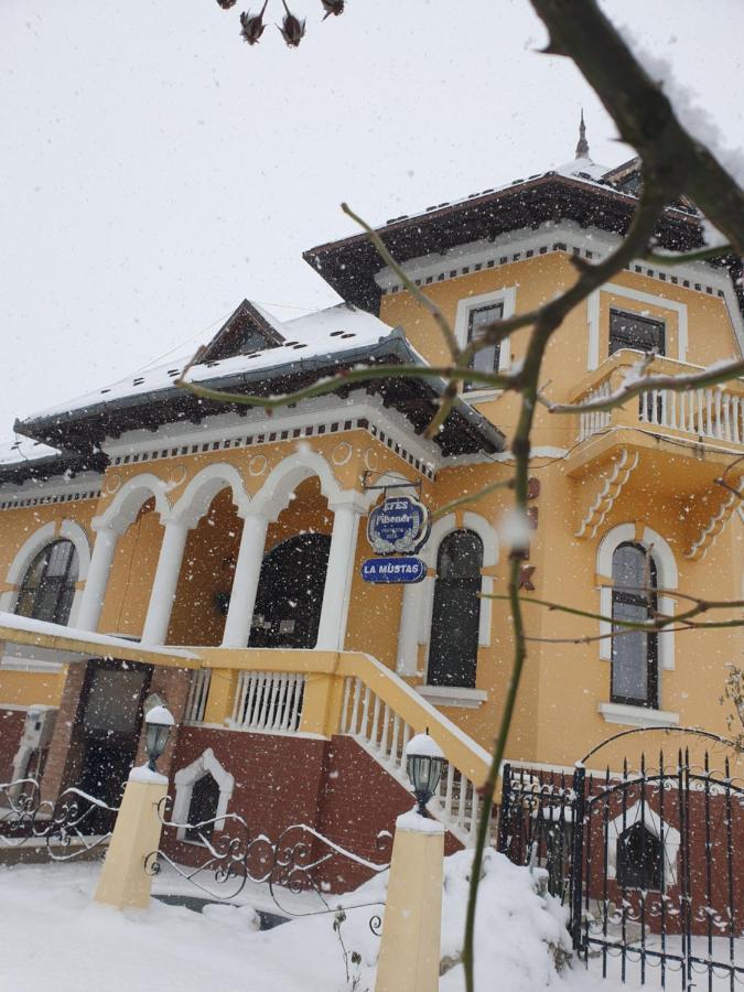 Pensiunea Onix Făgăraş Exteriör bild