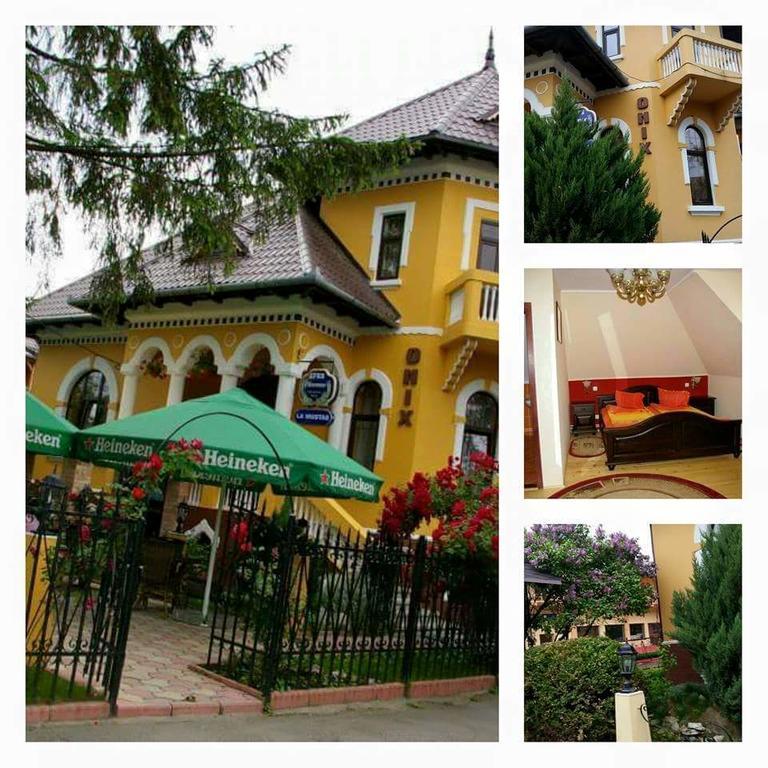 Pensiunea Onix Făgăraş Exteriör bild