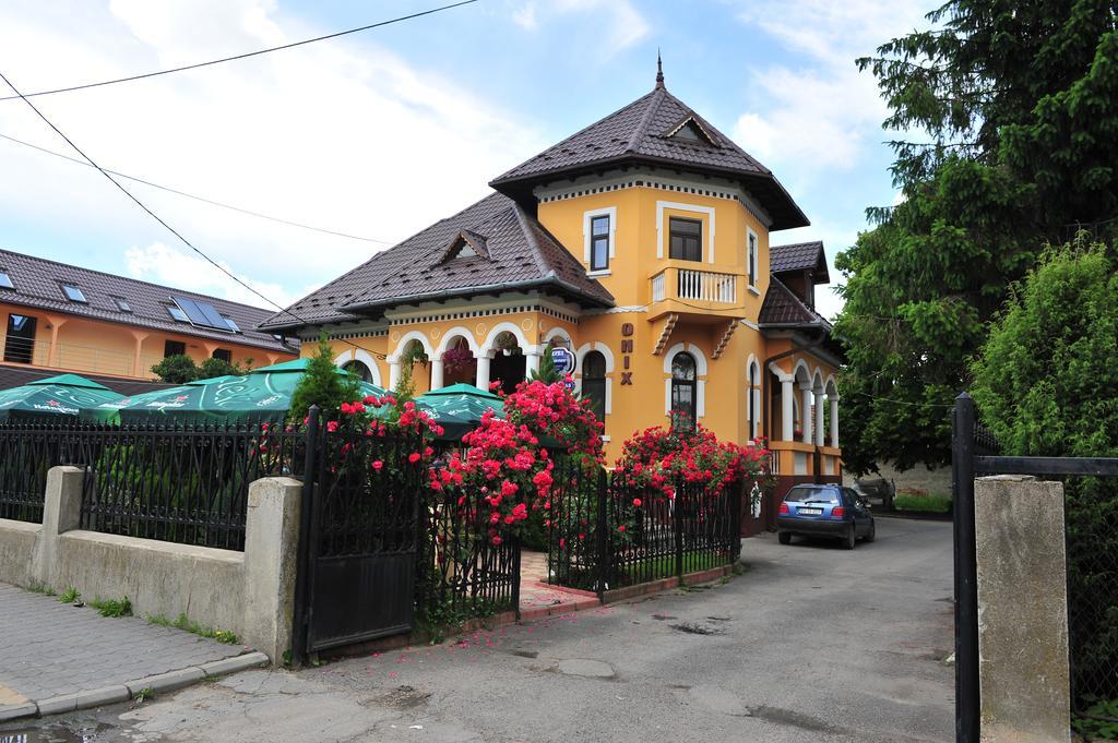 Pensiunea Onix Făgăraş Rum bild
