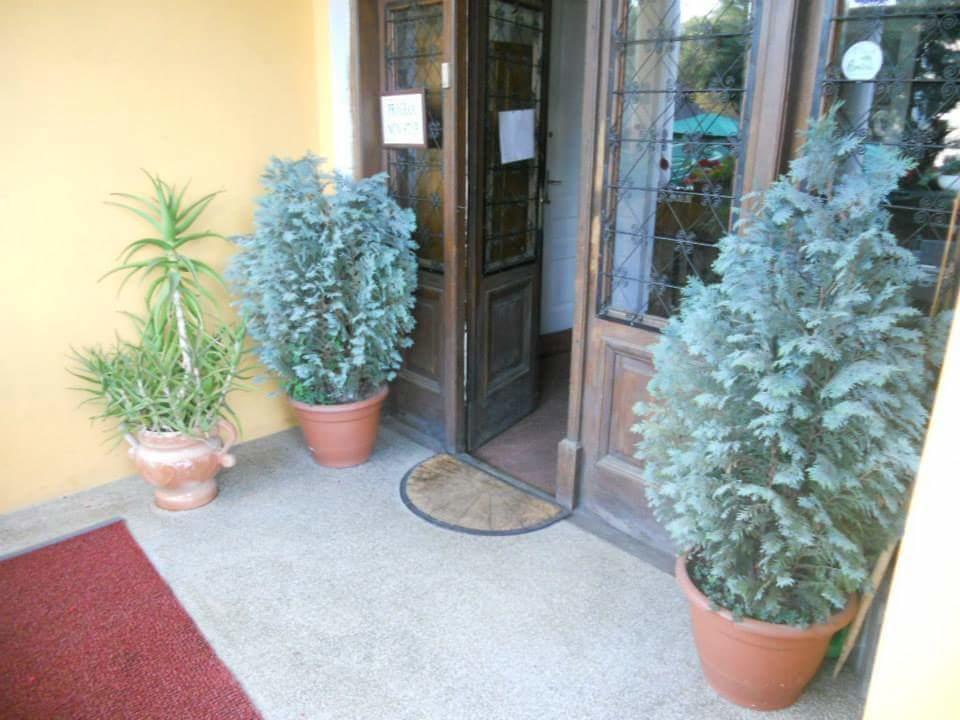 Pensiunea Onix Făgăraş Exteriör bild