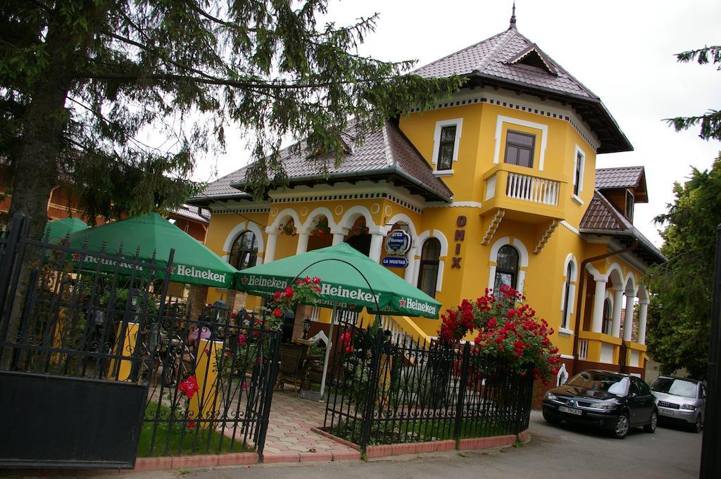 Pensiunea Onix Făgăraş Exteriör bild