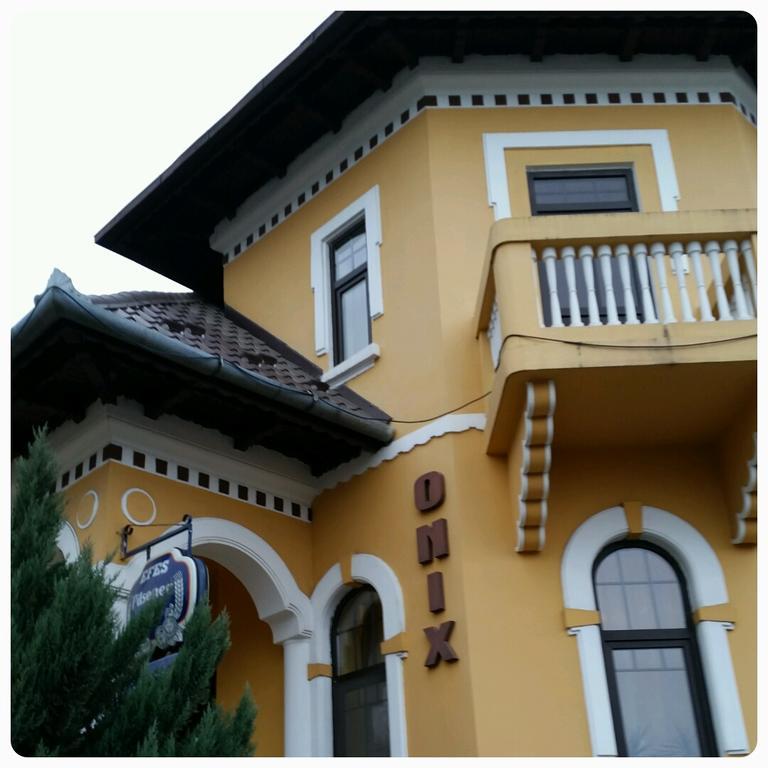 Pensiunea Onix Făgăraş Exteriör bild
