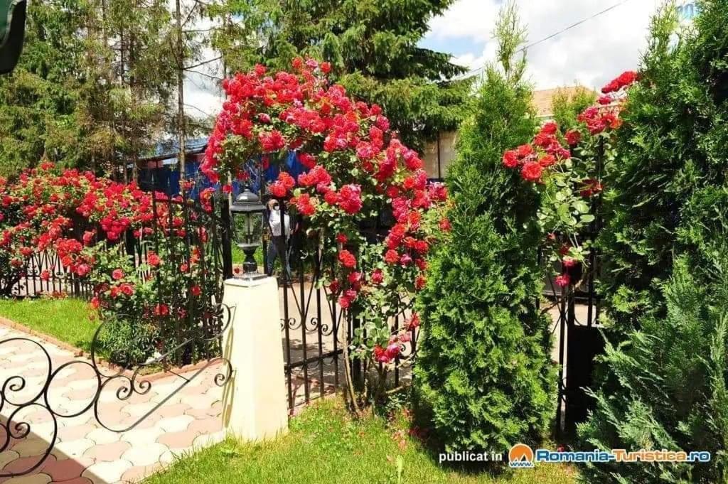 Pensiunea Onix Făgăraş Exteriör bild