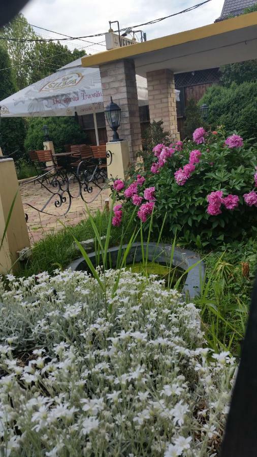Pensiunea Onix Făgăraş Exteriör bild
