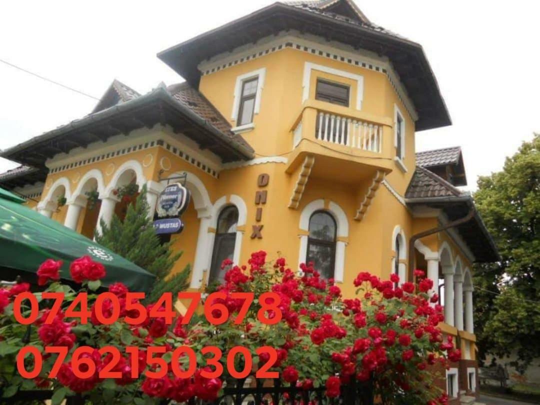Pensiunea Onix Făgăraş Exteriör bild