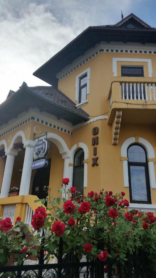 Pensiunea Onix Făgăraş Exteriör bild