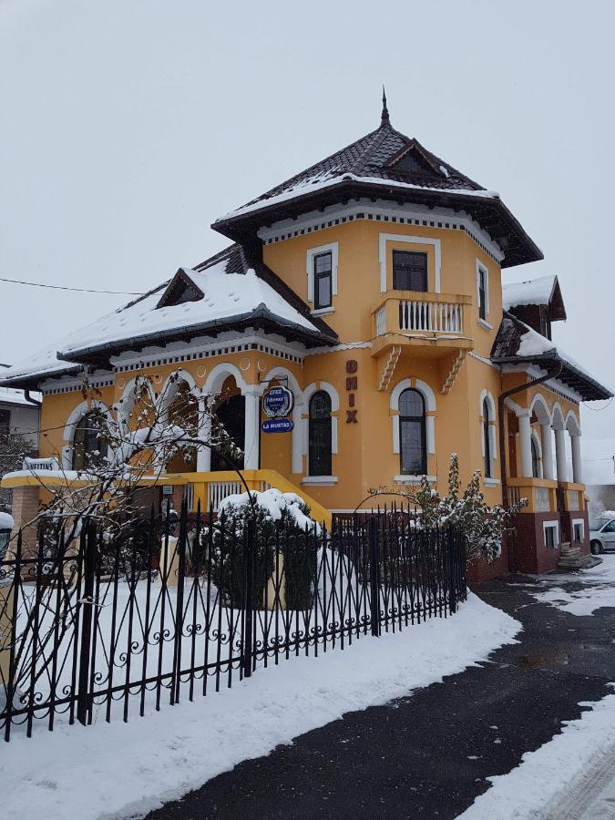 Pensiunea Onix Făgăraş Exteriör bild
